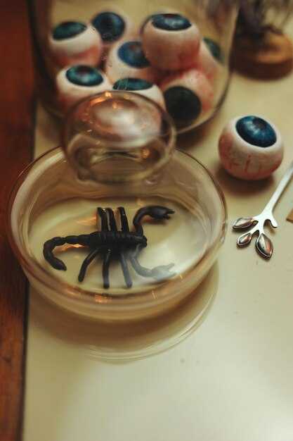 Черный червь как метод снятия порчи