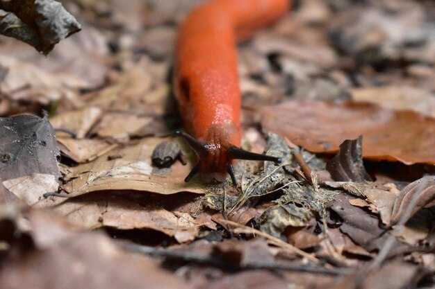 Возможные последствия и рекомендации