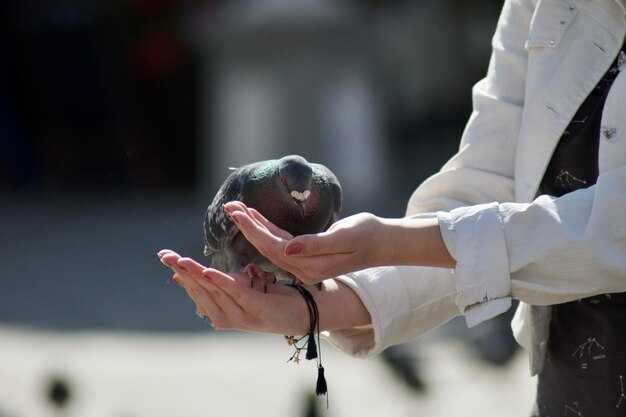 Определение понятия сокращения намаза