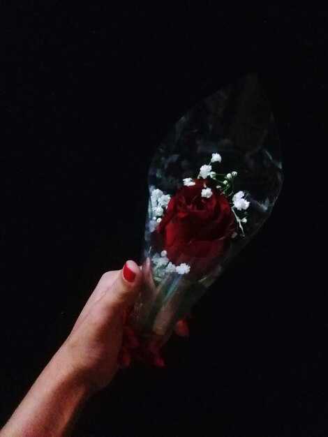 Подготовка к охоте на ведьму