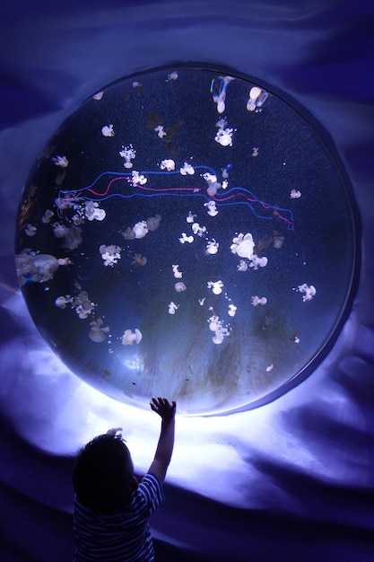 Шаги для расчета личного кода