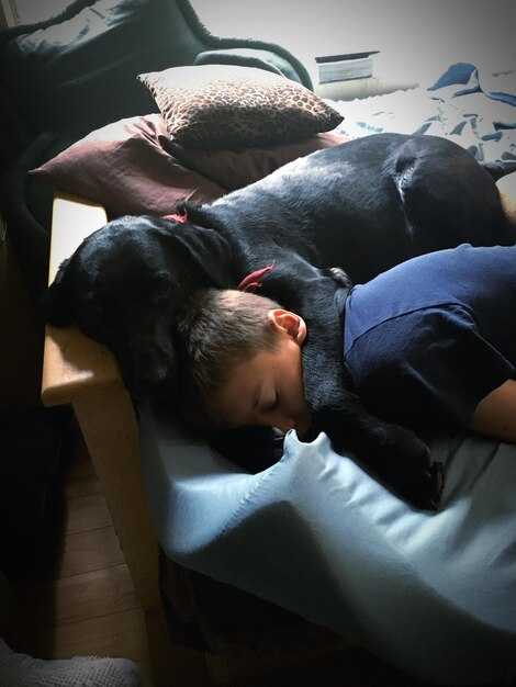 Символика освобождения в снах