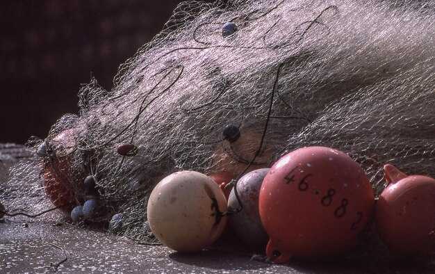 Основы вычисления по алгоритму Грегориана