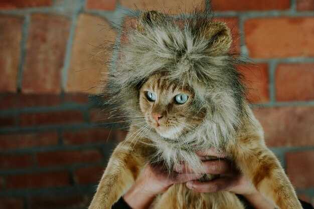 Эмпатия и доброта