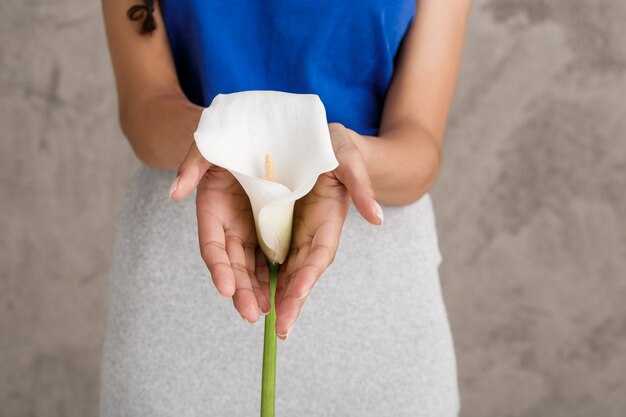 Перспективы развития карьеры после рождения ребёнка