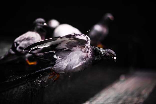 Рекомендации по размещению кристаллов в пространстве