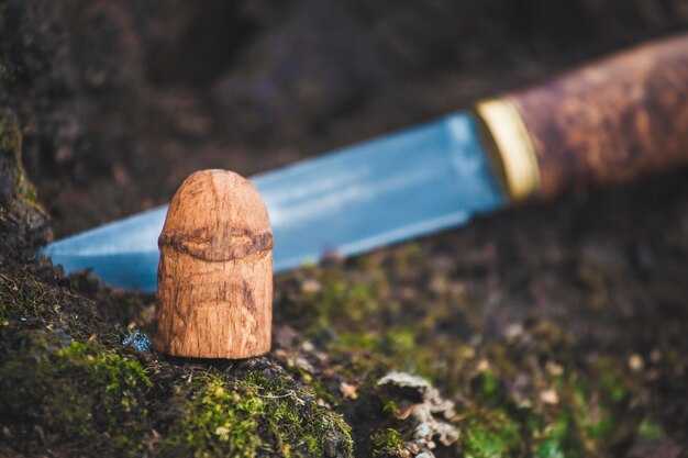 Роль Меча в древних битвах