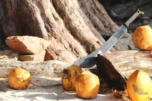 Мифы о свойствах и загадках меча