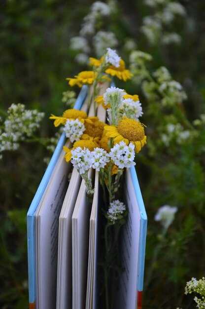 Как священное взаимодействует с повседневной жизнью?