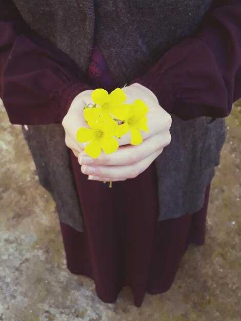 Популярные ласковые формы имени Наталия