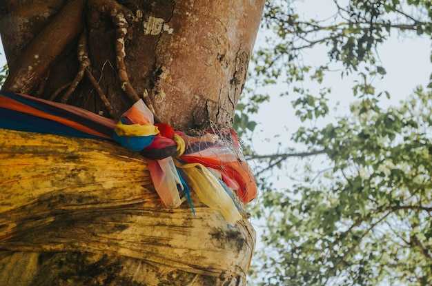 Роль протестантизма и других направлений