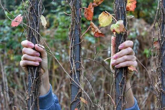 Как отличить достоверные документы от мифов