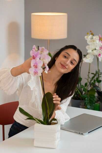 Психологическое воздействие растений на обитателей квартиры