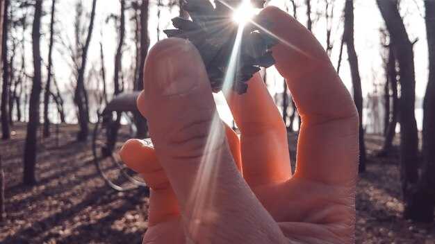 Причины образования энергетического давления