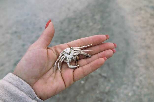 Как устранить зуд: популярные народные средства