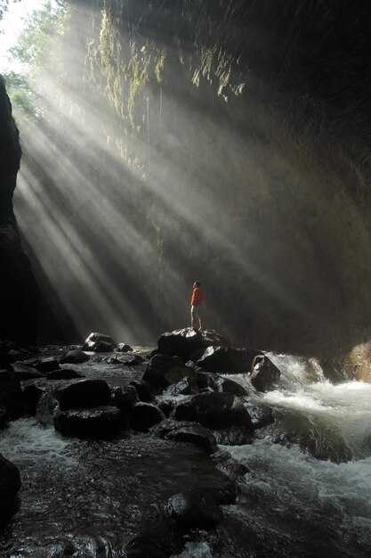 История разбойника: кто он и что произошло