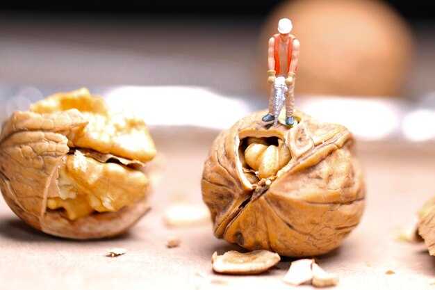 Определение и назначение глифов Соломона