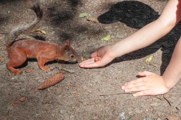 Рекомендации по выбору места для молитвы