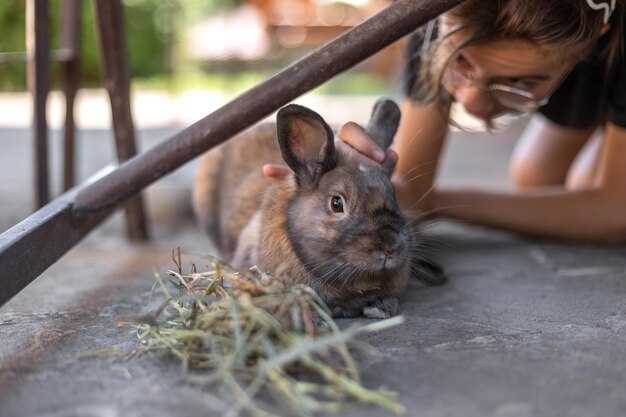 Дополнительные методы защиты от грызунов