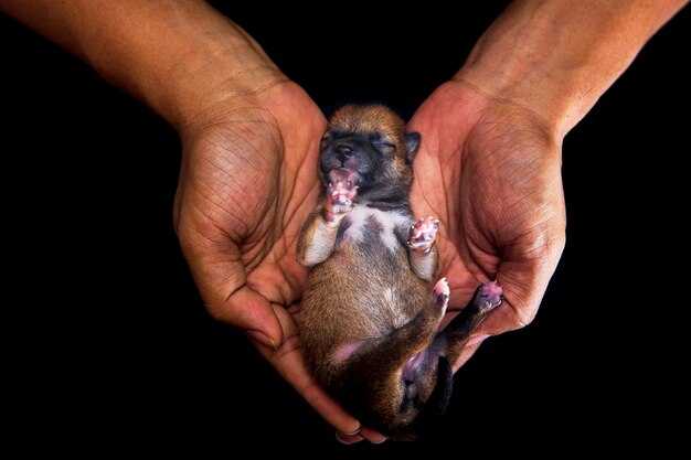 Какие молитвы подходят для обращения к Богу