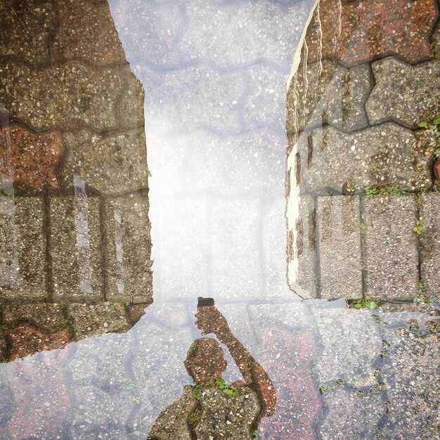 Роль кислородного голодания в предсмертных опытах