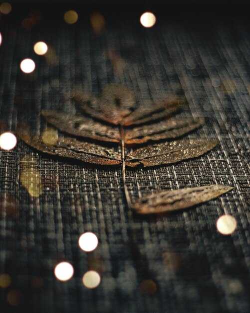 Необходимые инструменты и материалы