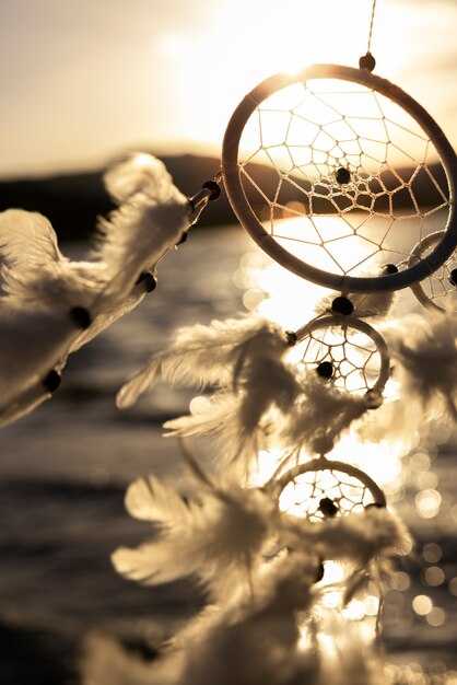 Происхождение и значение сак янт