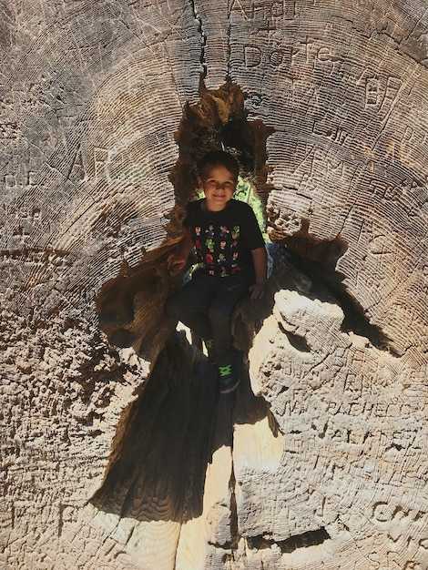 Шумерская религия: богини и боги-основатели