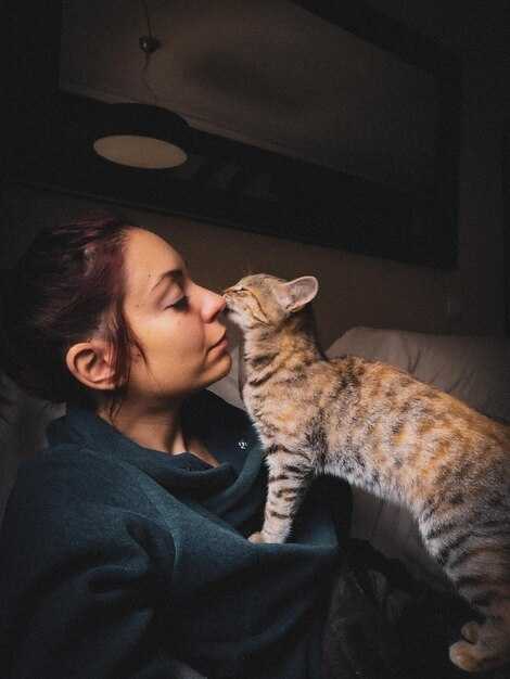 Правовые меры против жестокого обращения с животными