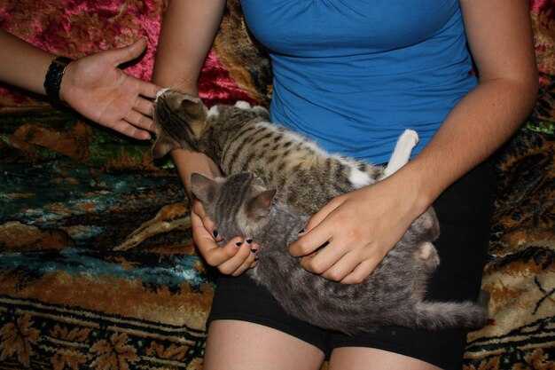 Какие мероприятия можно провести для привлечения внимания?