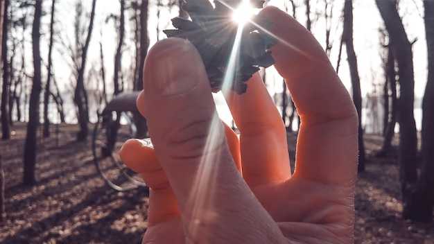 Секреты кастинга: советы для новичков в иллюзии