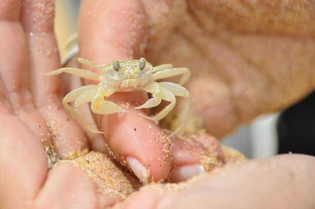 Заговоры от чирей: как избавиться от неприятных образований