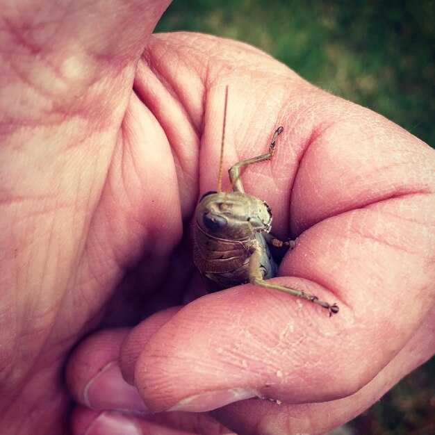Методы освобождения от негативного влияния