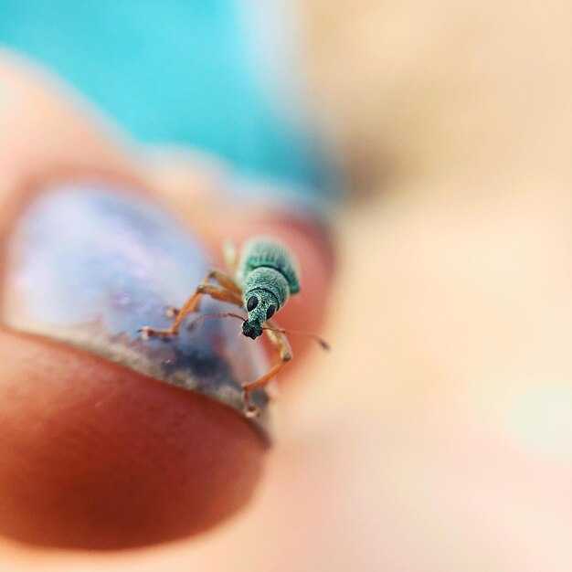 Собственные ритуалы: как создать защитный обряд