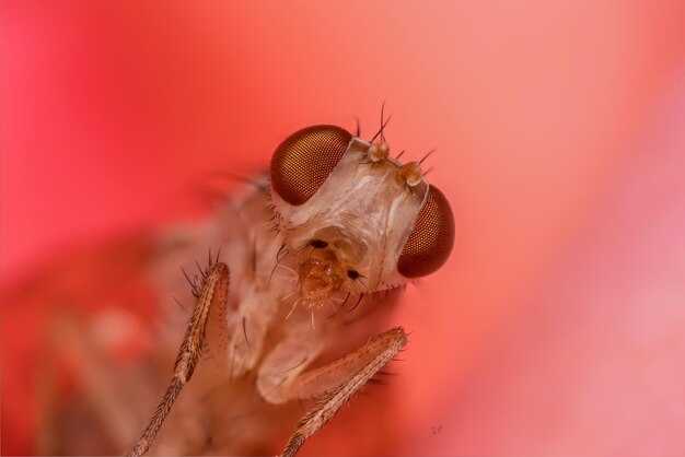 Физические симптомы порчи: как их распознать?