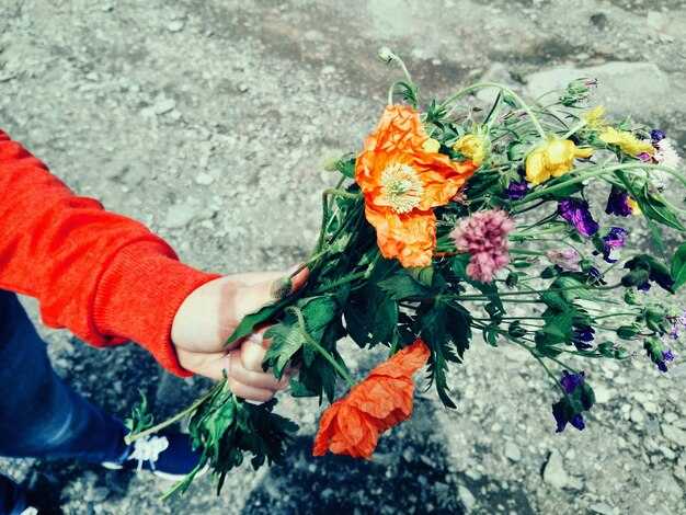 Рекомендации по анализу сна с большими букетами