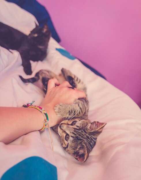 Как различать добрые и плохие знаки?