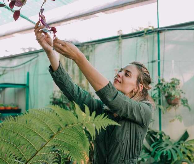 Интерпретация зелёного дома во сне