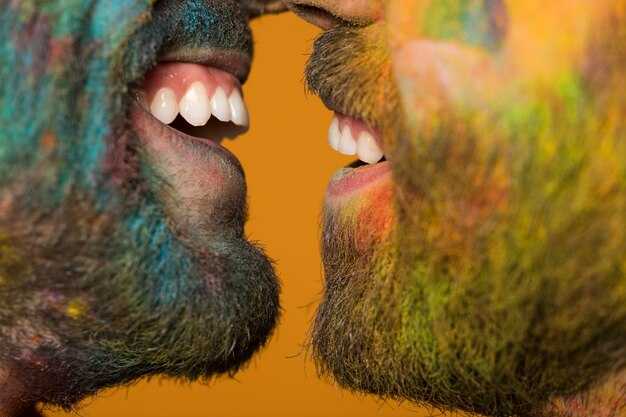 Совместные увлечения: как найти общие интересы