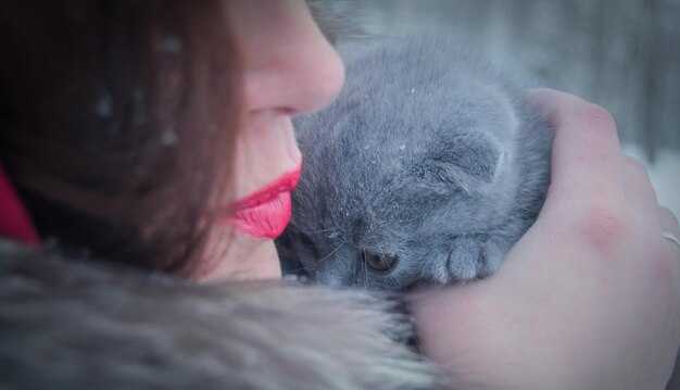 Каковы черты Женщины, родившейся в год Свиньи?