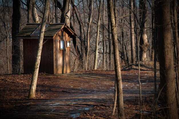 Сложившиеся представления о бабе Яге