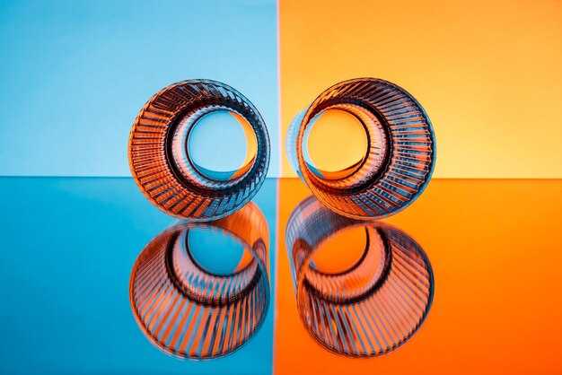 Основные характеристики субъективных и объективных мнений