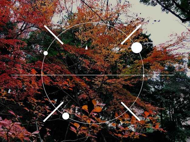 Практическое применение различий между мнениями