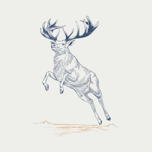 Олень как символ силы и грации