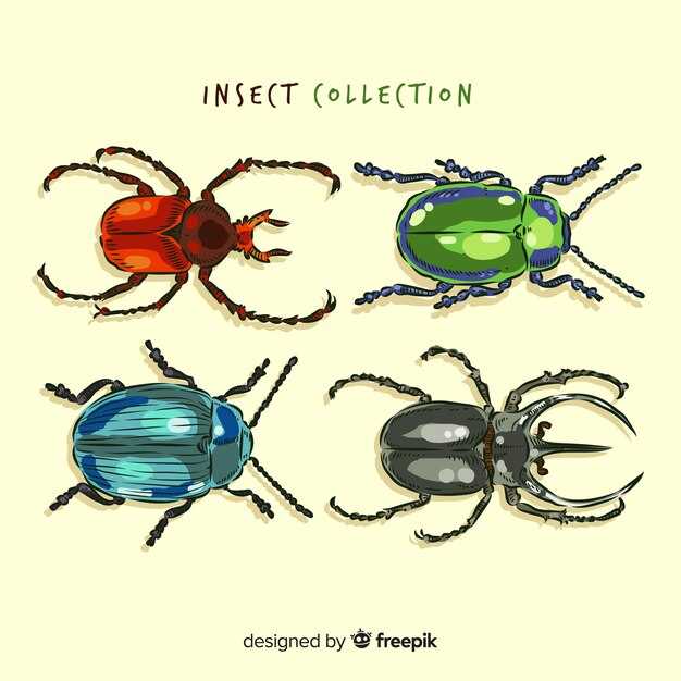 Верования и суеверия, связанные с божьими коровками