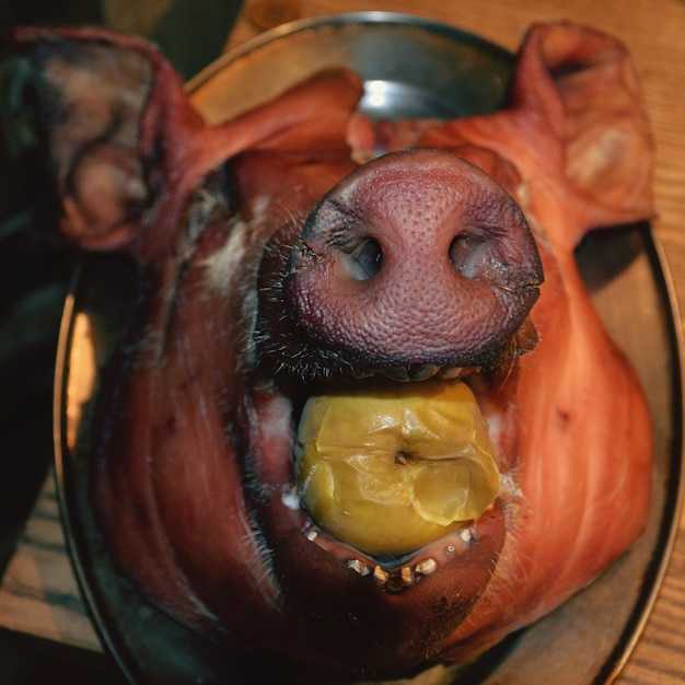 Наиболее распространенные ошибки в кормлении