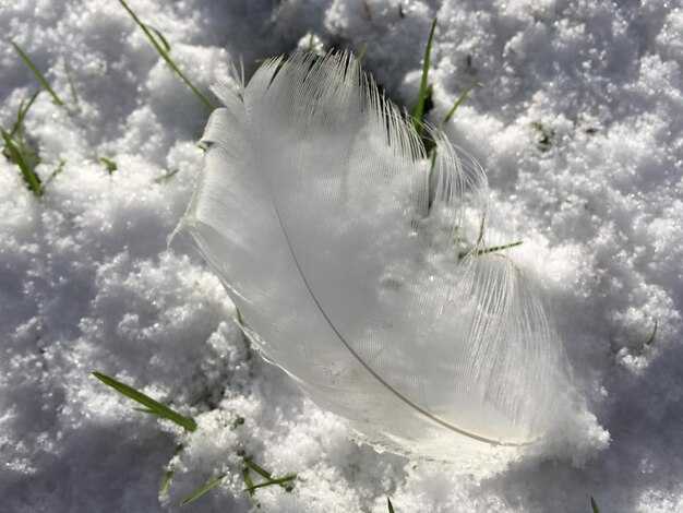 На каких аспектах следует акцентировать внимание?