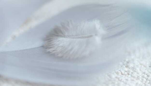 Символика белых перьев в сновидениях