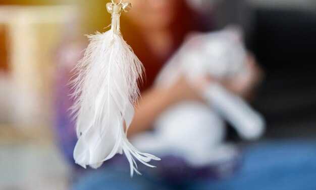 Белые перья как знак перемен