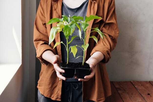 Практическое применение толкования снов о растениях